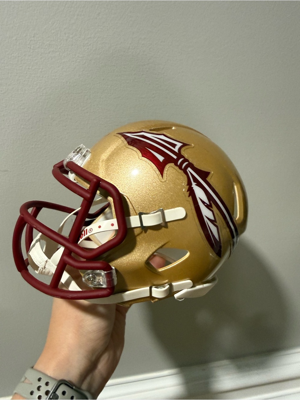 Florida State mini helmet